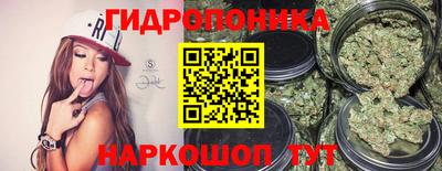 гашик Красноармейск