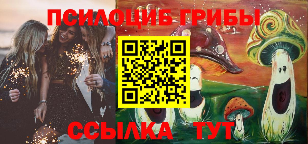 продажа наркотиков  Галлюциногенные грибы Psilocybe  Галлюциногенные грибы Psilocybine cubensis  Вход с VPN  Ликино-Дулёво 